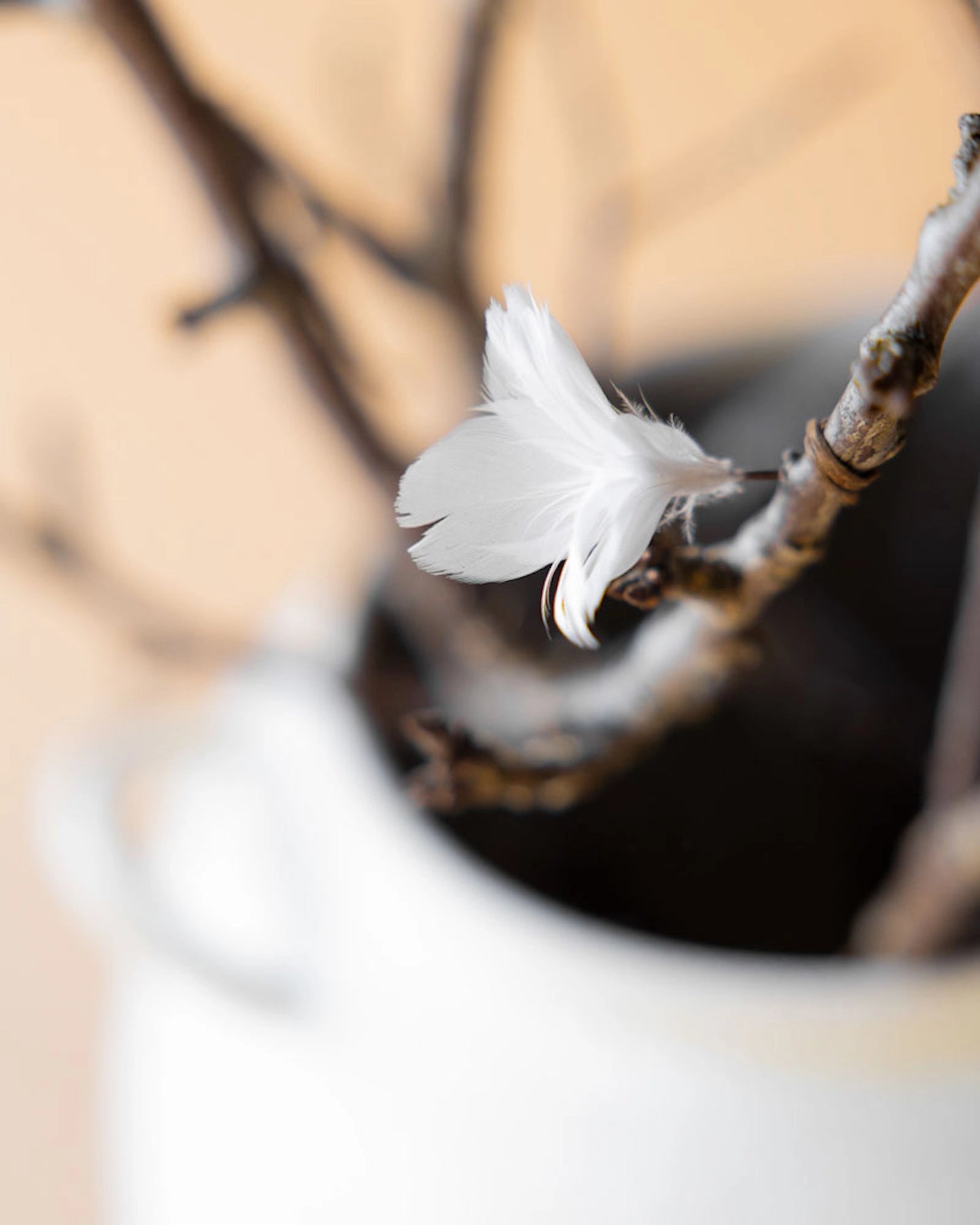 Fjäderblommor mini vit 12-pack