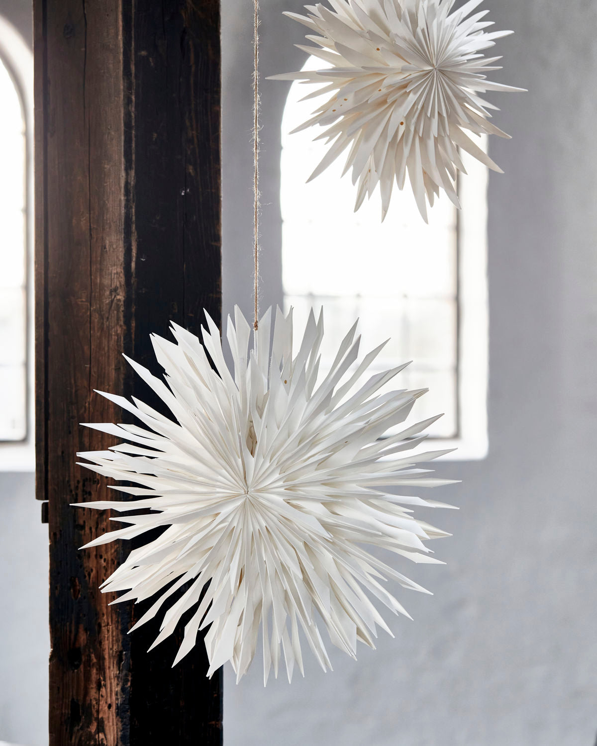 Julstjärna reef offwhite 50cm