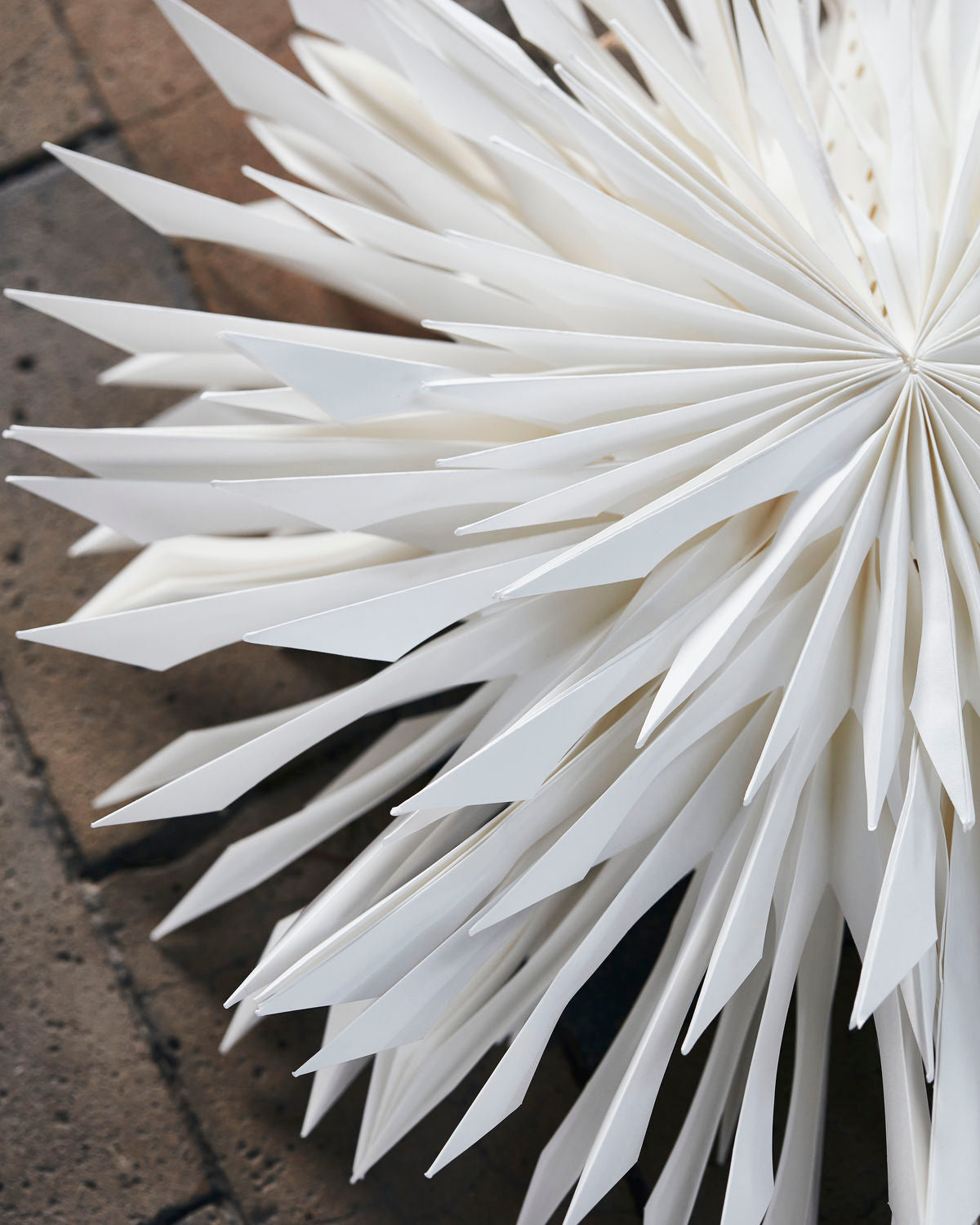 Julstjärna reef offwhite 50cm