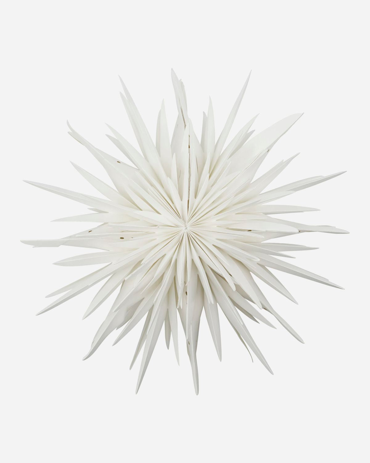 Julstjärna dust offwhite 70cm