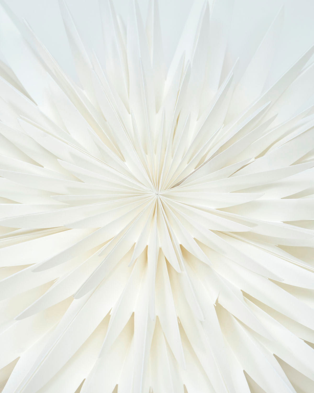 Julstjärna dust offwhite 70cm