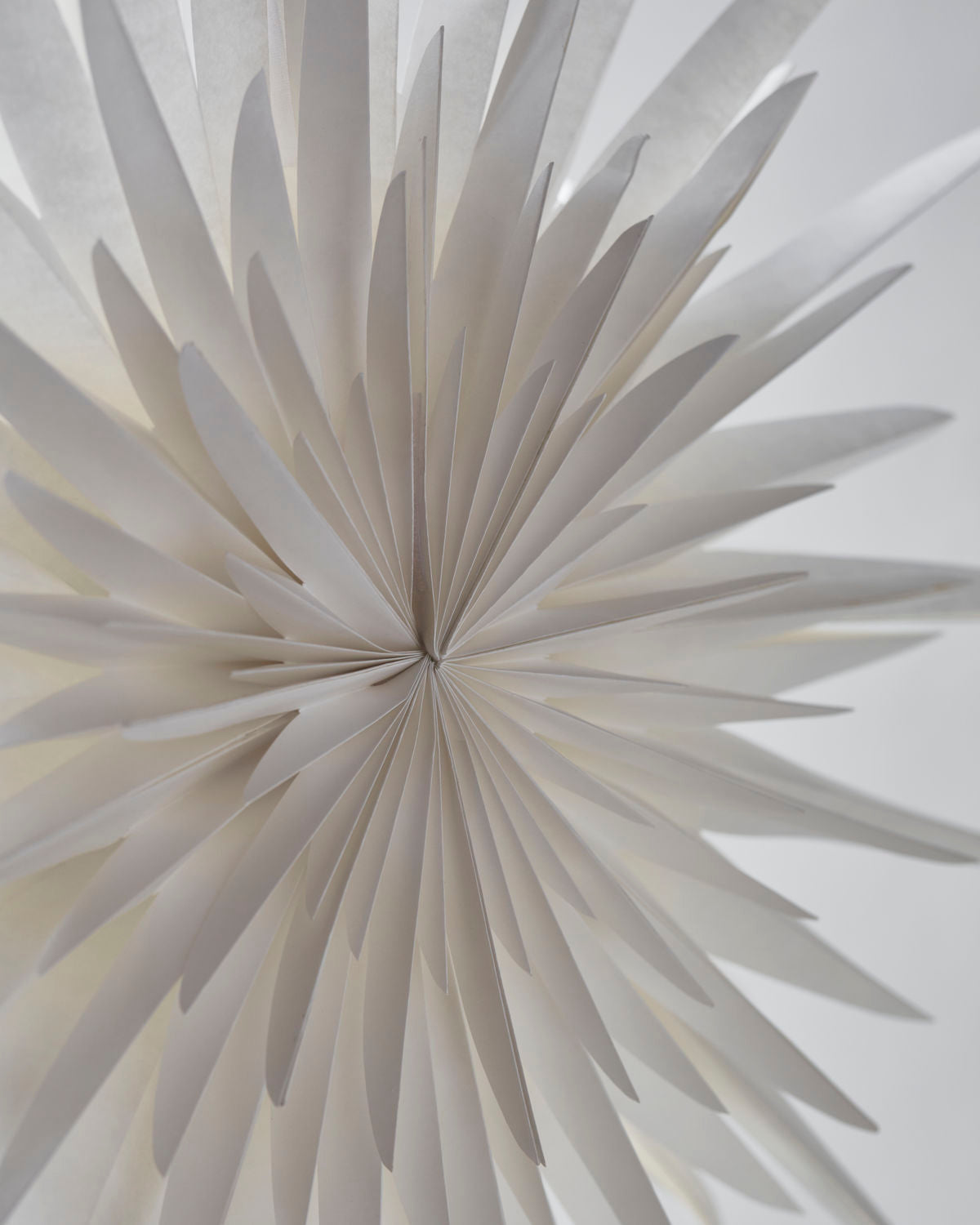 Julstjärna dust offwhite 70cm