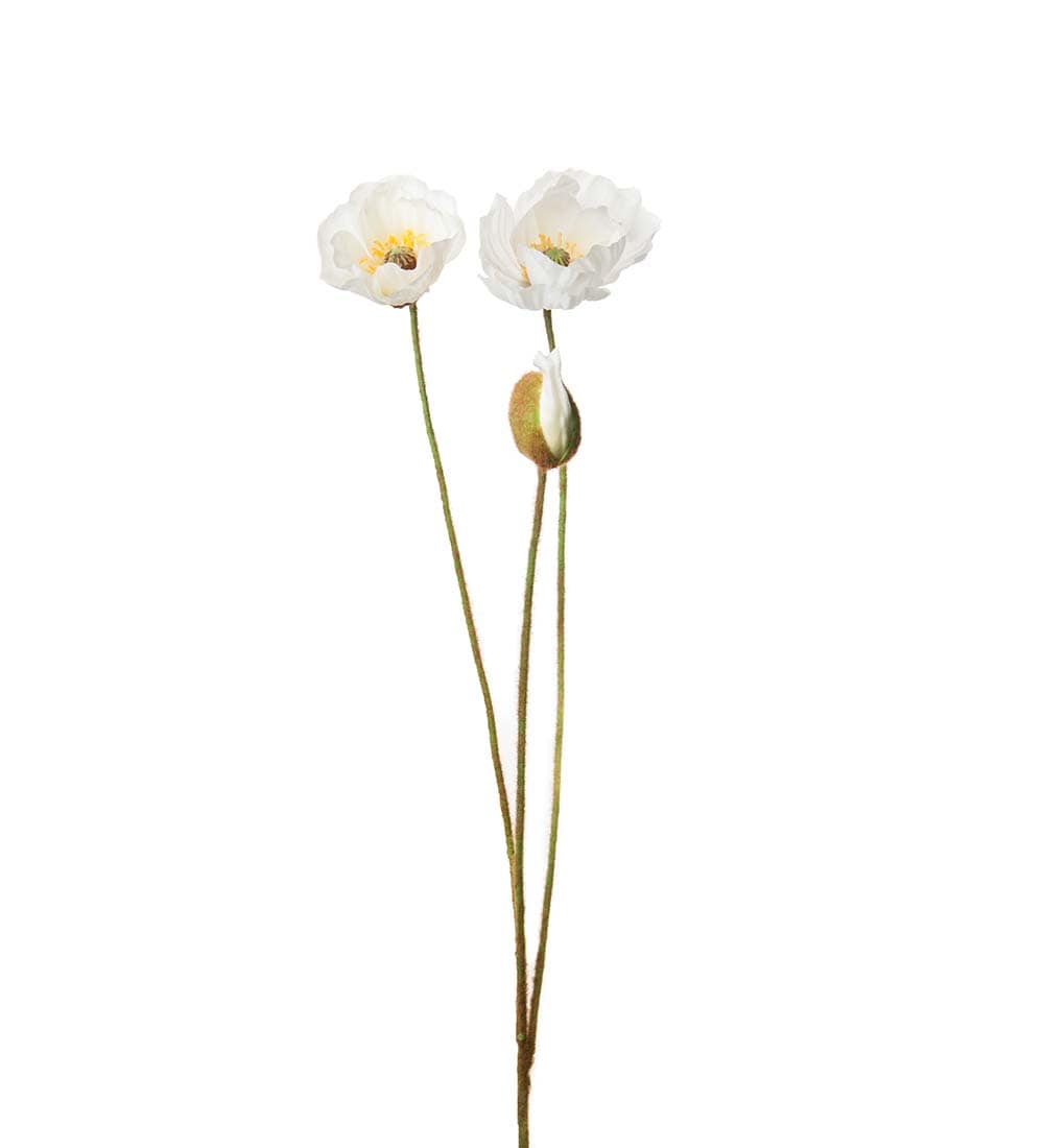 Vallmo flerstänglad vit