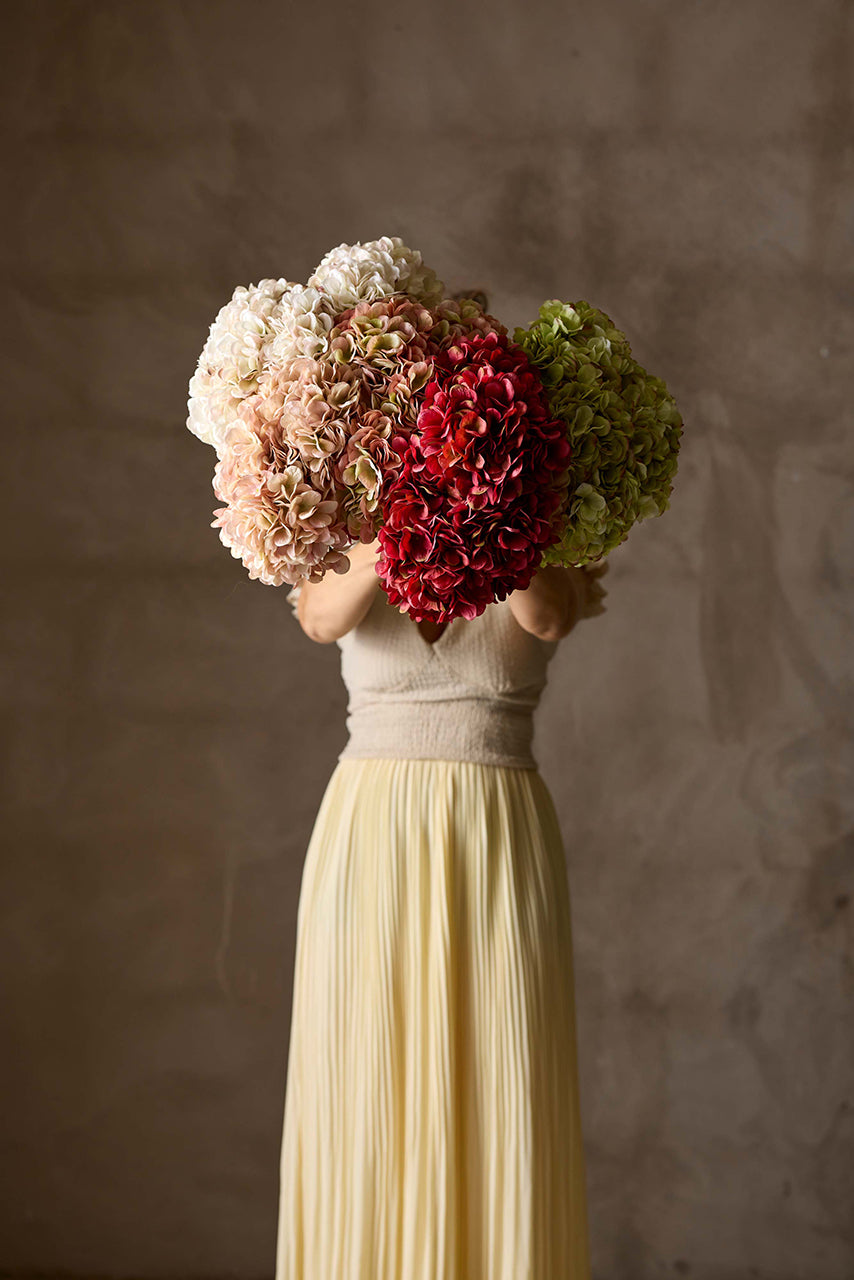 Hortensia vit/ljusrosa