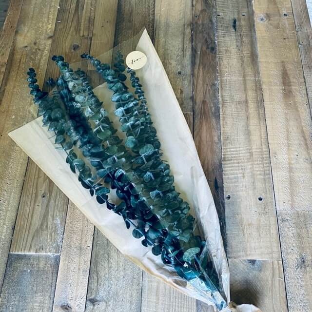 Eucalyptus grön 100gr - Konserverade