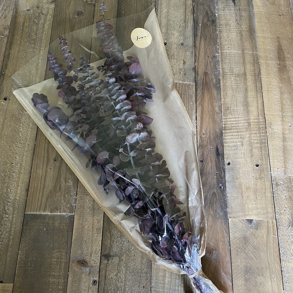 Eucalyptus röd 100gr - Konserverade