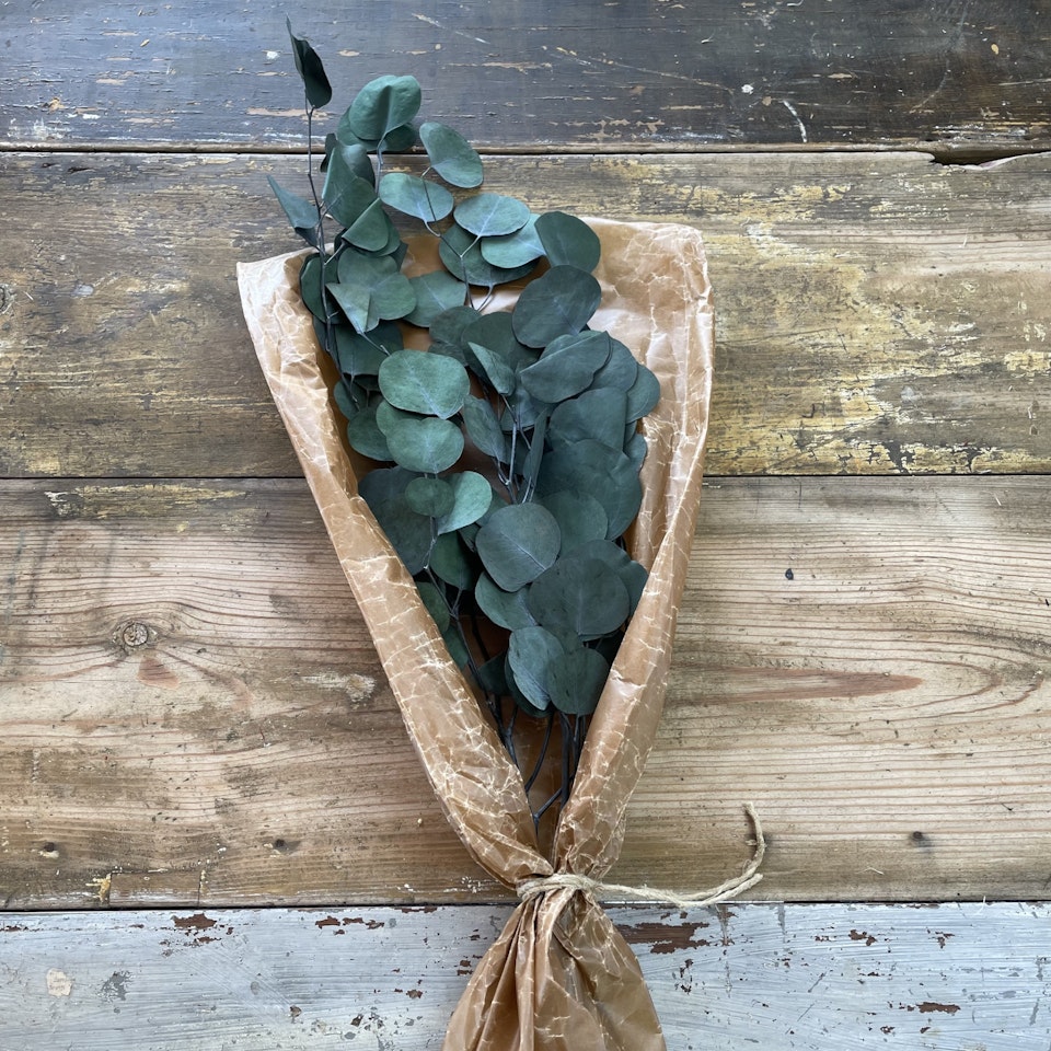 Eucalyptus apple leaves grön 100gr - Konserverade