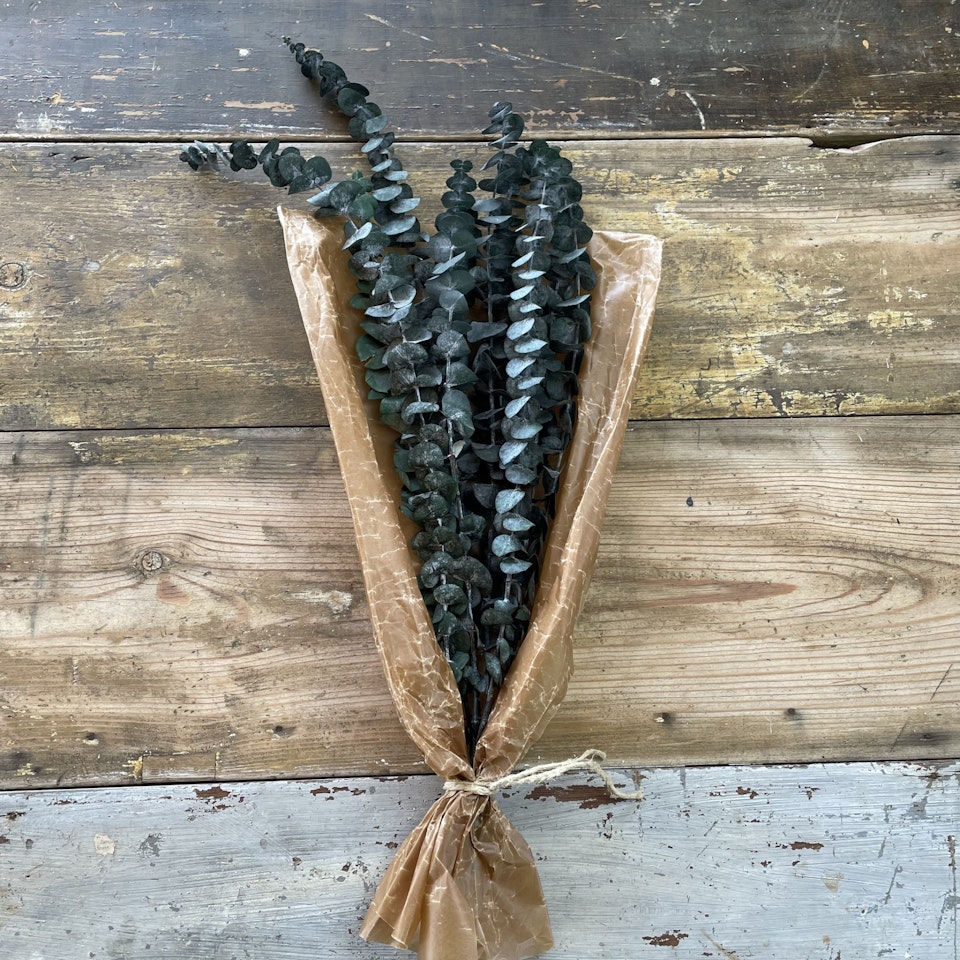 Eucalyptus grön 100gr - Konserverade