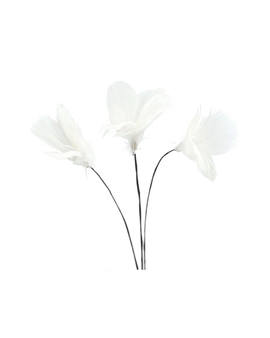 Fjäderblommor mini vit 12-pack