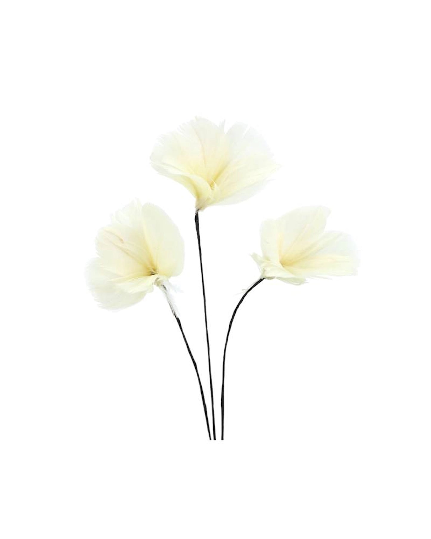 Fjäderblommor mini ljusgul 12-pack