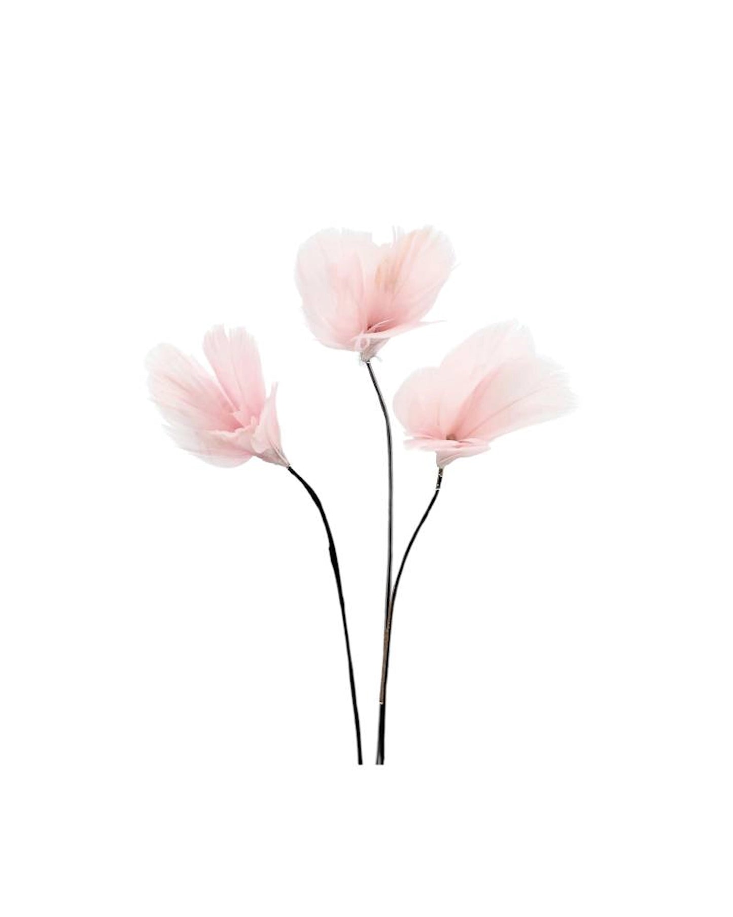 Fjäderblommor mini ljusrosa 12-pack