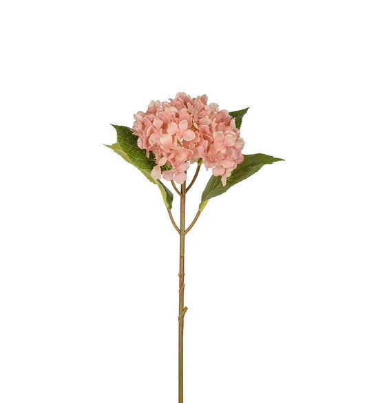 Hortensia rosa XS