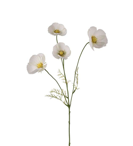 Rosenskära vit