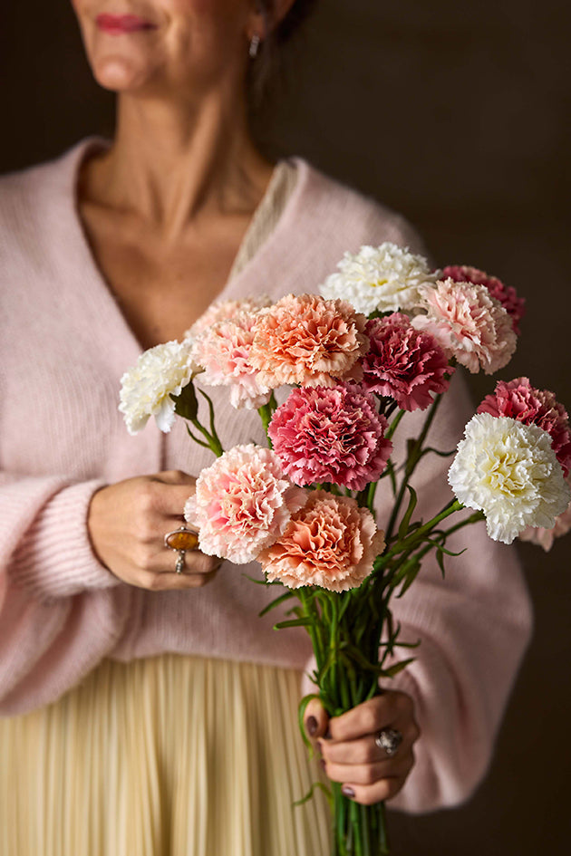 Nejlika rosa