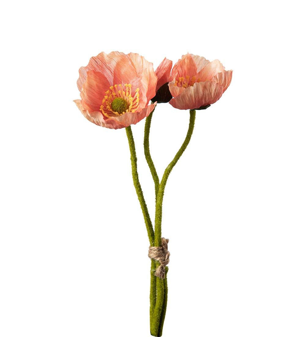 Liten vallmobunt rosa