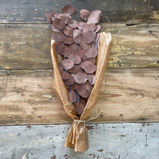 Eucalyptus apple leaves Kopparbrun 100gr - Konserverade