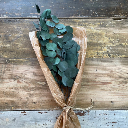 Eucalyptus apple leaves grön 100gr - Konserverade