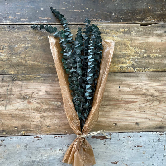 Eucalyptus grön 100gr - Konserverade
