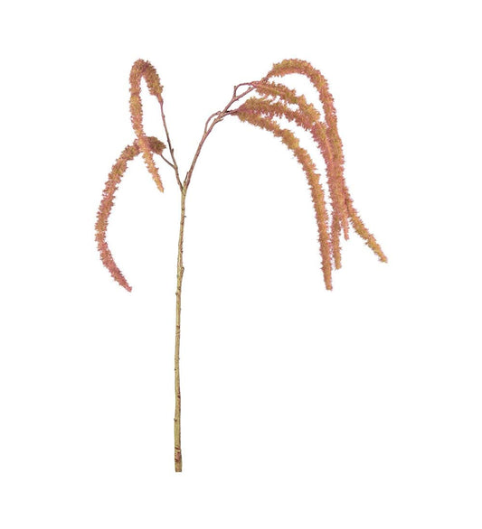Amaranthus röd S
