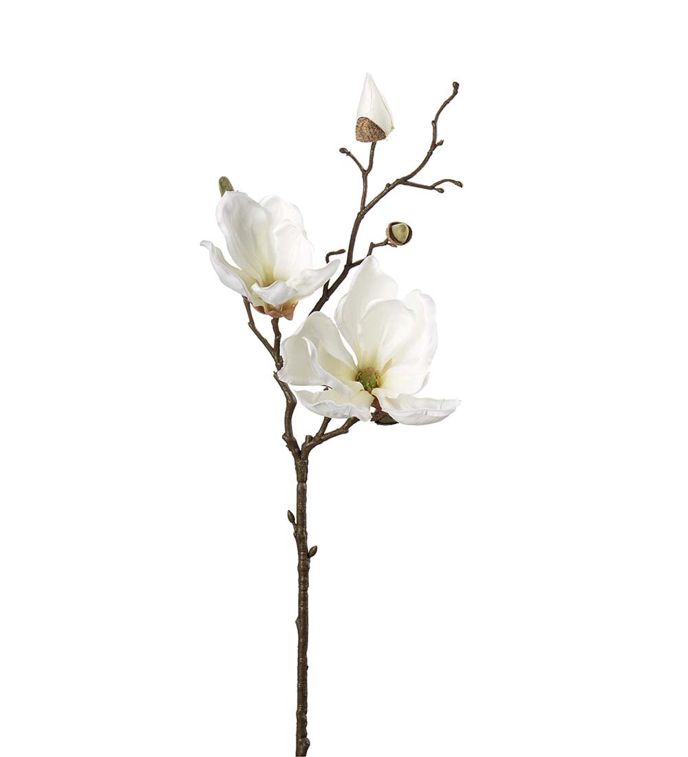 Magnolia vit 45cm