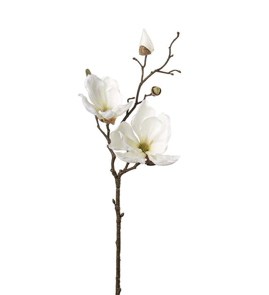 Magnolia vit 45cm