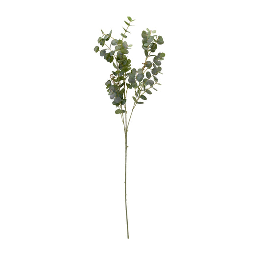 Eucalyptus 103cm